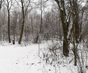 Jezioro Rusałka w zimowej aurze