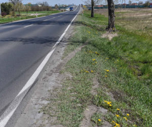 Rogówko, śmiertelny wypadek