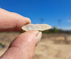 Znaleziska archeologiczne we Wschowie