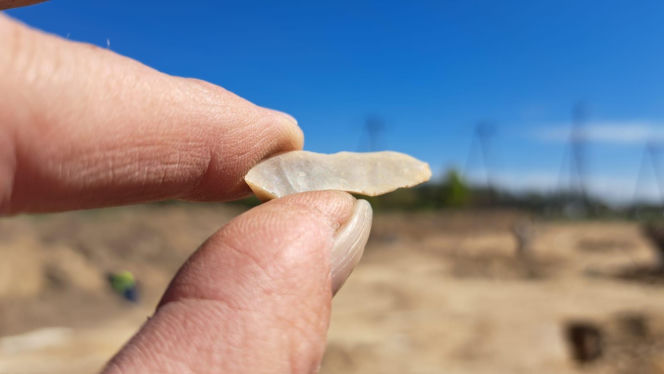 Znaleziska archeologiczne we Wschowie