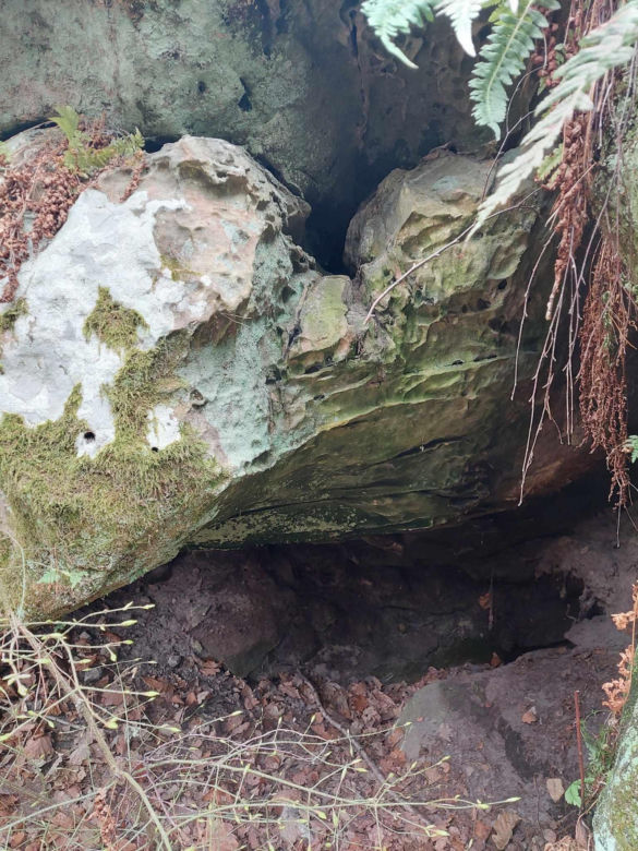 Rezerwat Przyrody "Skały pod Adamowem"