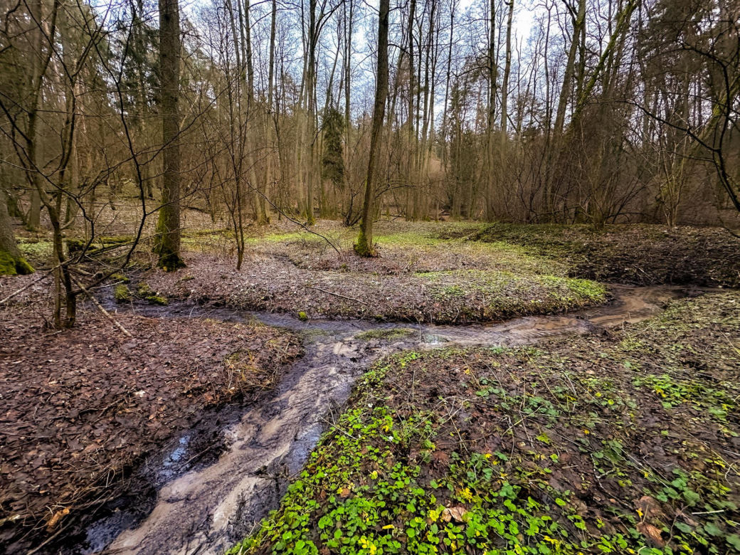 Rzeka Łyna