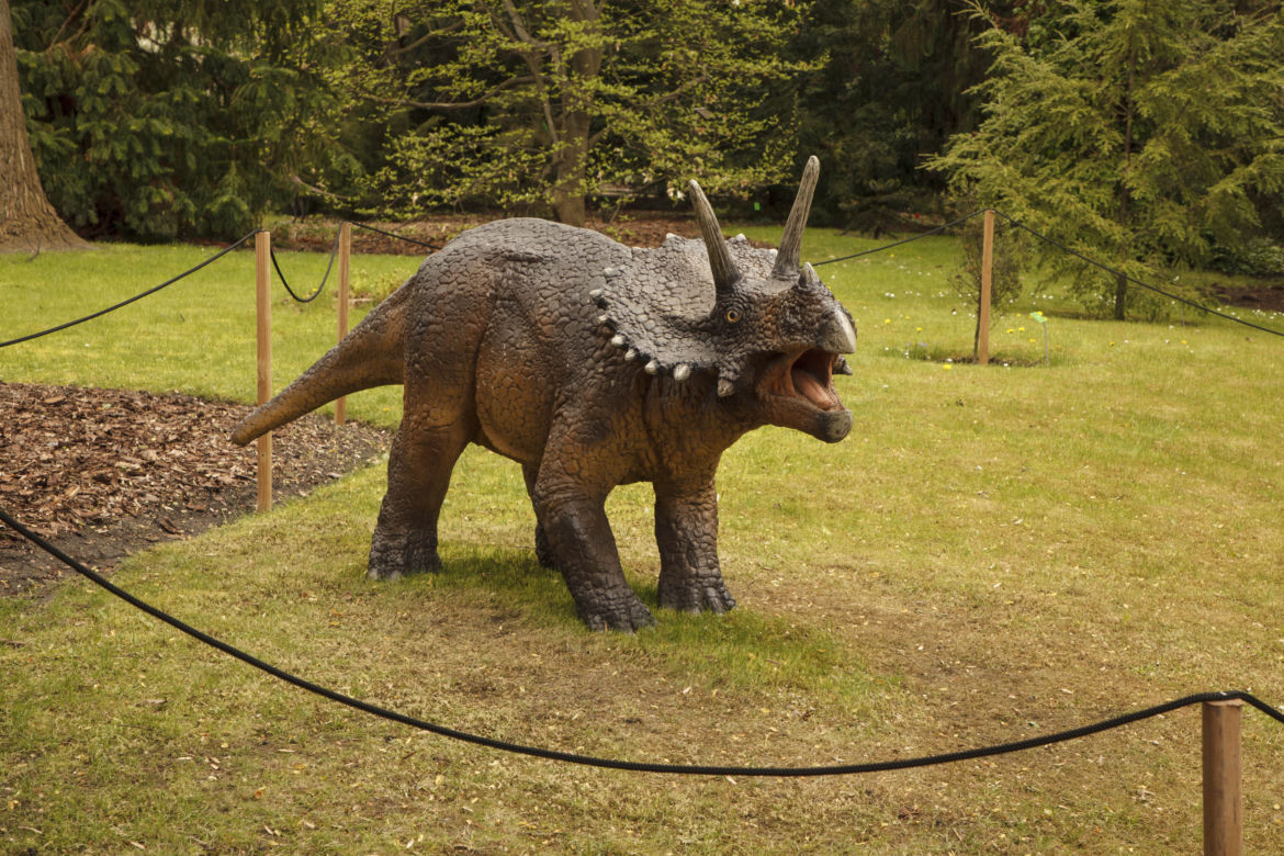 Dinozaury opanowały wrocławski ogród botaniczny