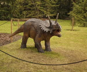 Dinozaury opanowały wrocławski ogród botaniczny