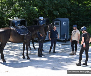 Pan Andrzej został zwycięzcą licytacji zorganizowanej w ramach 34. Finału WOŚP i razem z panią Żakliną odwiedził Ogniwo Konne podkarpackiej policji w Weryni