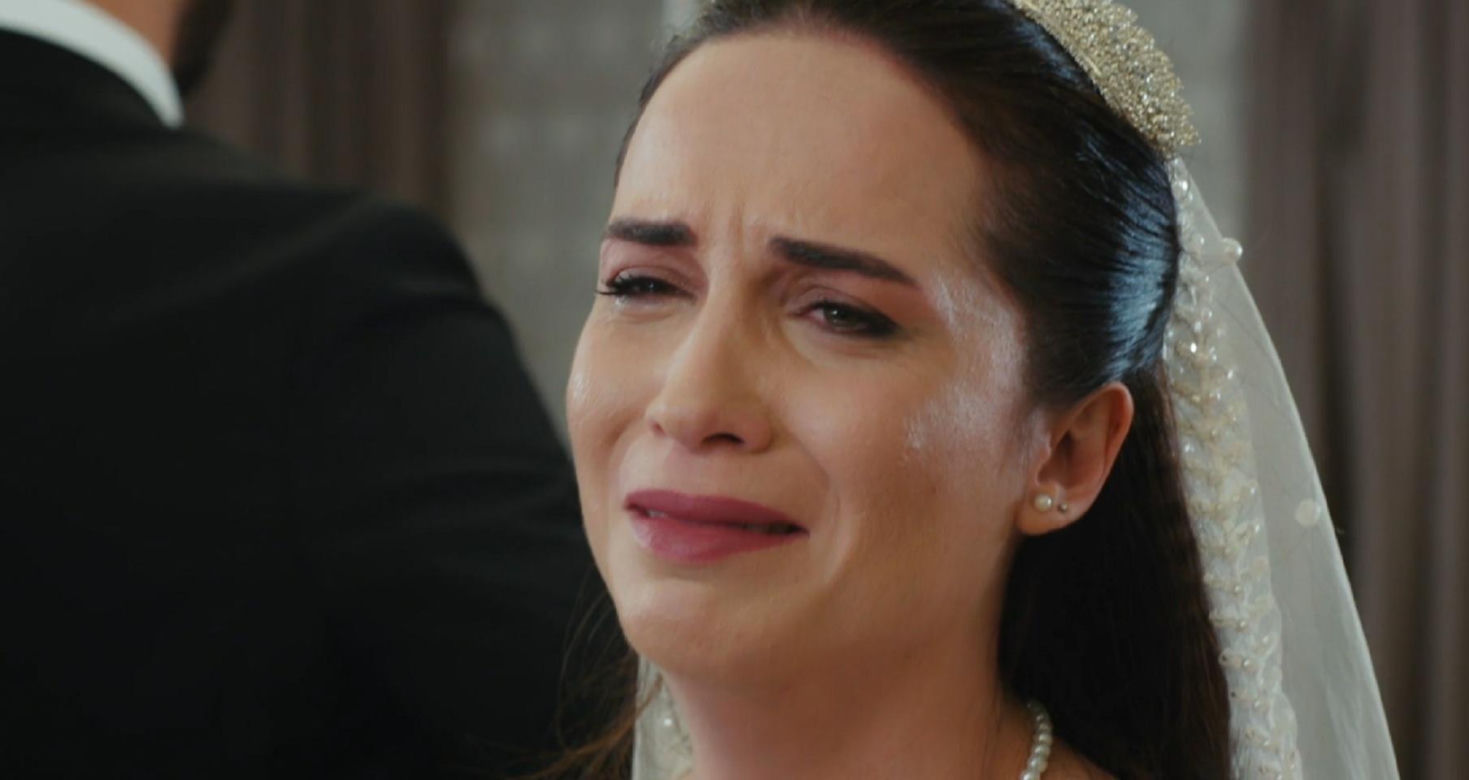 Panna młoda odc. 232. Cihan, Beyza