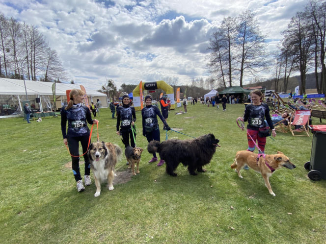 2. Bieg Charytatywny Leśny Zryw w Starych Jabłonkach