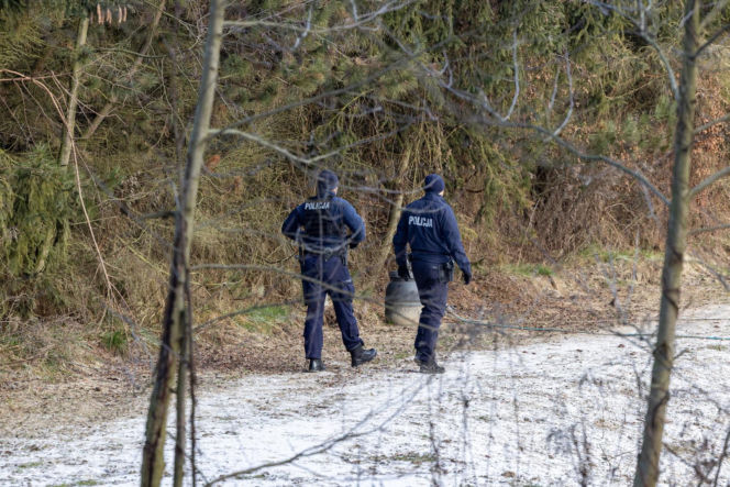 Wiktorek wpadł z mamą do stawu