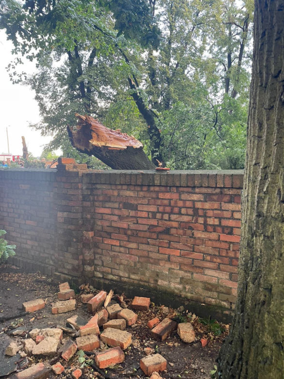 Powalone drzewa zniszczyły cmentarz i miażdżyły samochody