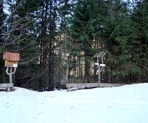 Konkurs Łazienki 2008