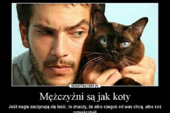 Dzień Mężczyzny 2018: śmieszne memy, obrazki, GIF-y