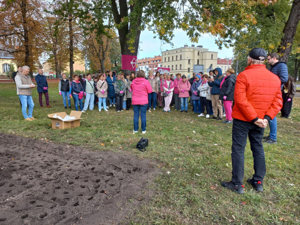 Posadzili kolejne żonkile w Lesznie. W dniu walki z rakiem piersi