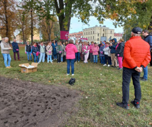 Posadzili kolejne żonkile w Lesznie. W dniu walki z rakiem piersi