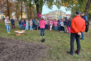 Posadzili kolejne żonkile w Lesznie. W dniu walki z rakiem piersi