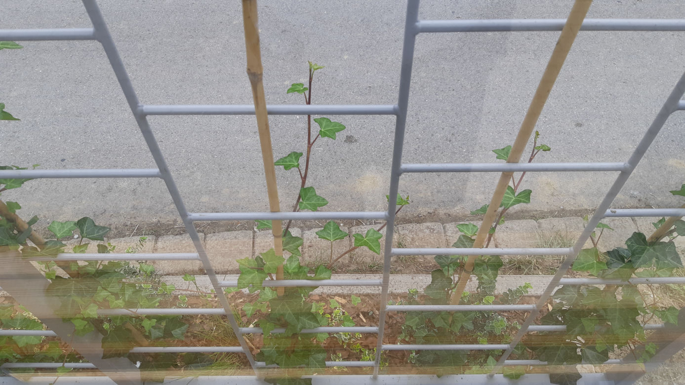 Tarnów ma swoje zielone przystanki! Zobacz jak wygladają!