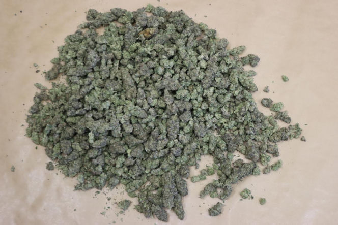 Policjanci zabezpieczyli prawie 20 kg narkotyków o wartości blisko 2 mln złotych