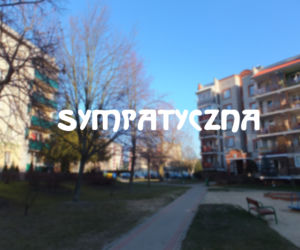 Ul. Sympatyczna (os. Leśna Dolina)