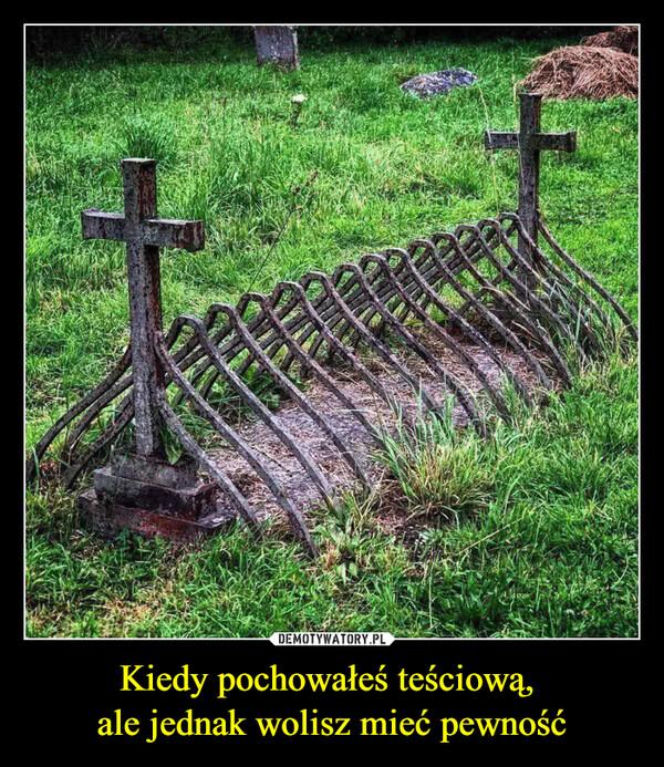 Tych memów o teściowych nie pokażesz mamie! Internauci nie mają litości