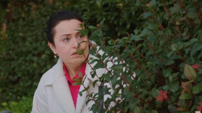 Miłość i nadzieja odc. 352. Cavidan