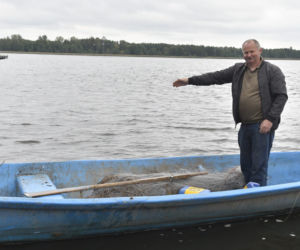 Piranie w Zalewie Zegrzyńskim