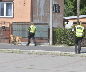 Do poszukiwań Dawidka zostały włączone specjalne psy niemieckiej policji