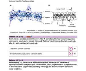 Matura 2026 z biologii ROZSZERZONEJ: odpowiedzi do wszystkich zadań z arkusza CKE 8.05.2026