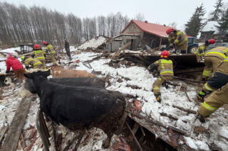 Zawalony dach w Laśmiadach na Mazurach. Ucierpiało bydło
