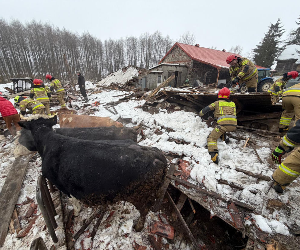 Zawalony dach w Laśmiadach na Mazurach. Ucierpiało bydło
