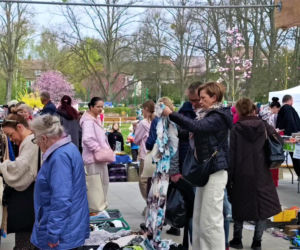 Pchli targ na Pogodnie