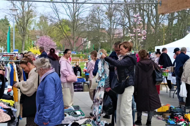 Pchli targ na Pogodnie