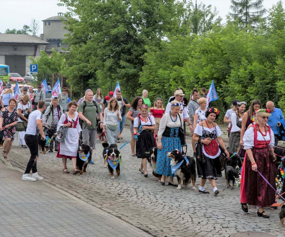 Berneńczyki w Tarnowie