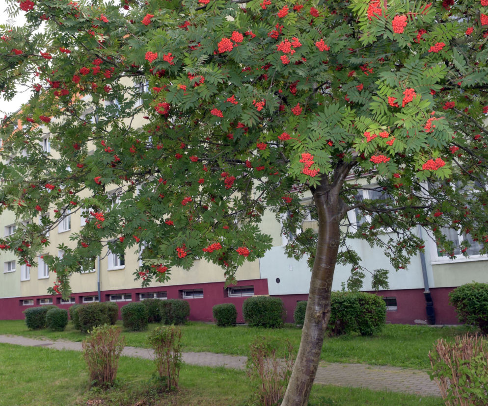 Studenci Politechniki Koszalińskiej zamieszkają w dobrych warunkach