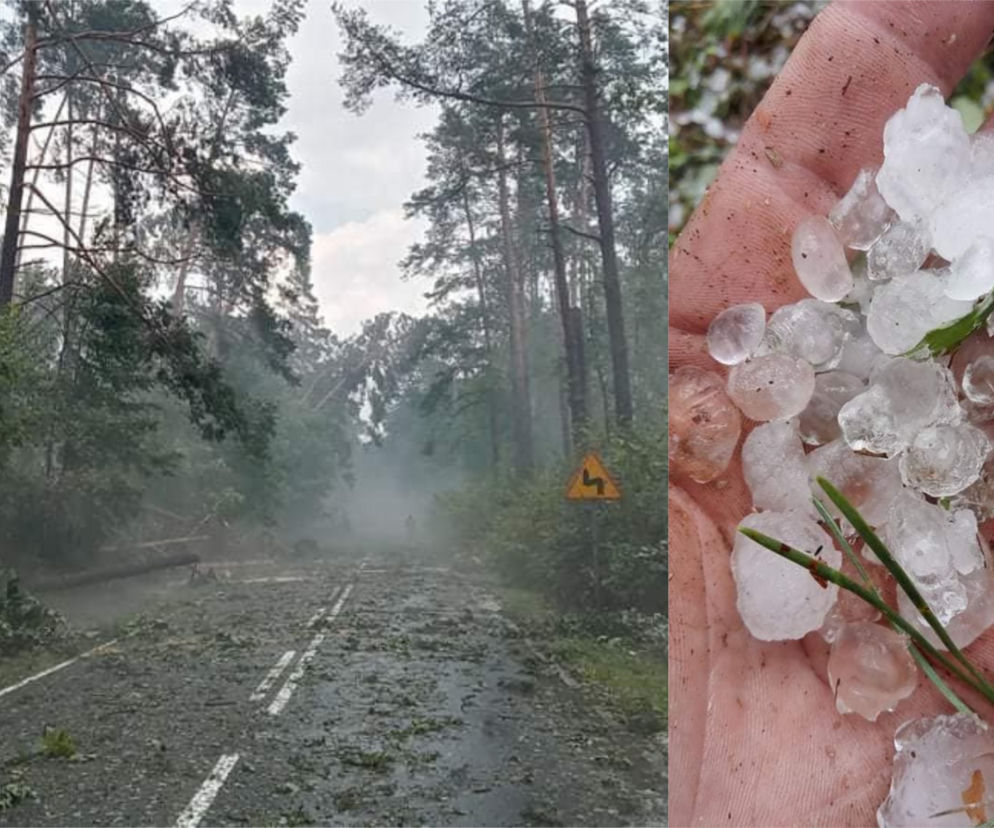 Niszczycielka nawałnica przeszła przez Osie! Przerażające zdjęcia