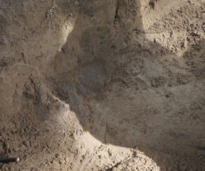 Archeolodzy zakończyli wykopaliska na Mazurach. Co udało im się odkryć? [ZDJĘCIA]
