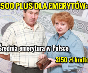 500PLUS DLA EMERYTOW_2