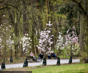 Ogrody Marysienki w Parku Miejskim. Te widoki zachwycają torunian