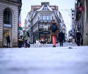 Holandia/ Setki odwołanych lotów, chaos na kolei i rekordowe korki z powodu ataku zimy