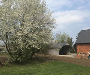 Remont domu z lat 30. i wiejski ogród