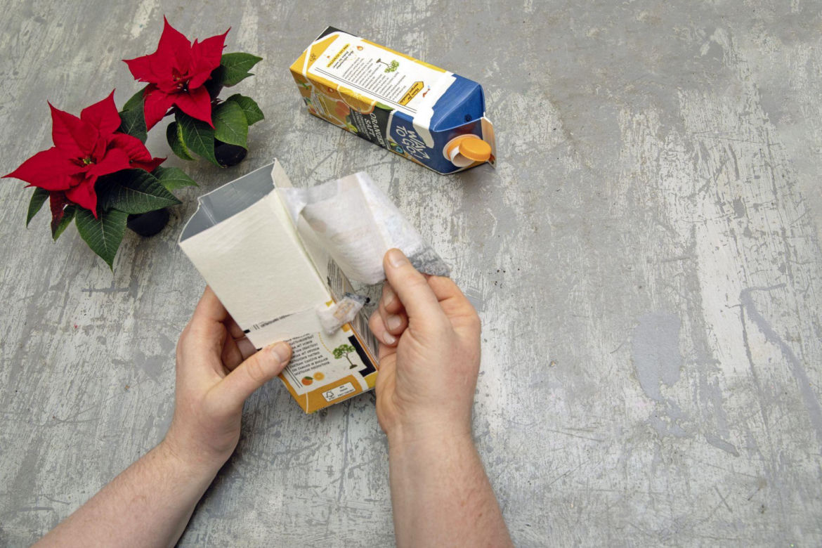 Gwiazda betlejemska – świąteczne domki DIY