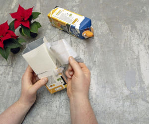 Gwiazda betlejemska – świąteczne domki DIY