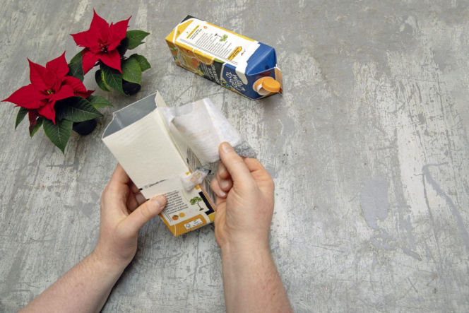 Gwiazda betlejemska – świąteczne domki DIY