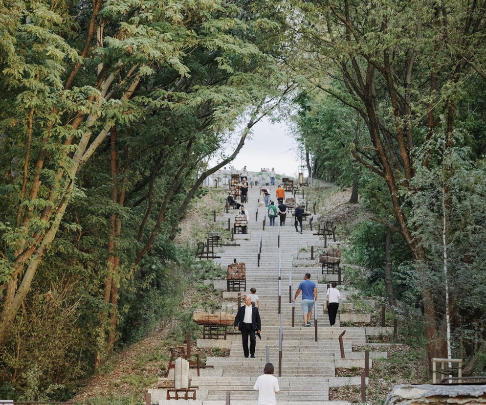 Widok na długie, szerokie schody prowadzące na szczyt Kopca Powstania Warszawskiego w Parku Akcji „Burza”, otoczone gęstą zielenią drzew. Liczne osoby idące po schodach, z lewej strony widoczne unikalne struktury z gruzobetonu, symbolizujące historię tego miejsca. Dowiedz się więcej o tej rewaloryzacji na Architektura Murator Plus.