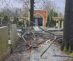 Wichura zdemolowała stołeczne nekropolie. Kompletna ruina na cmentarzach 