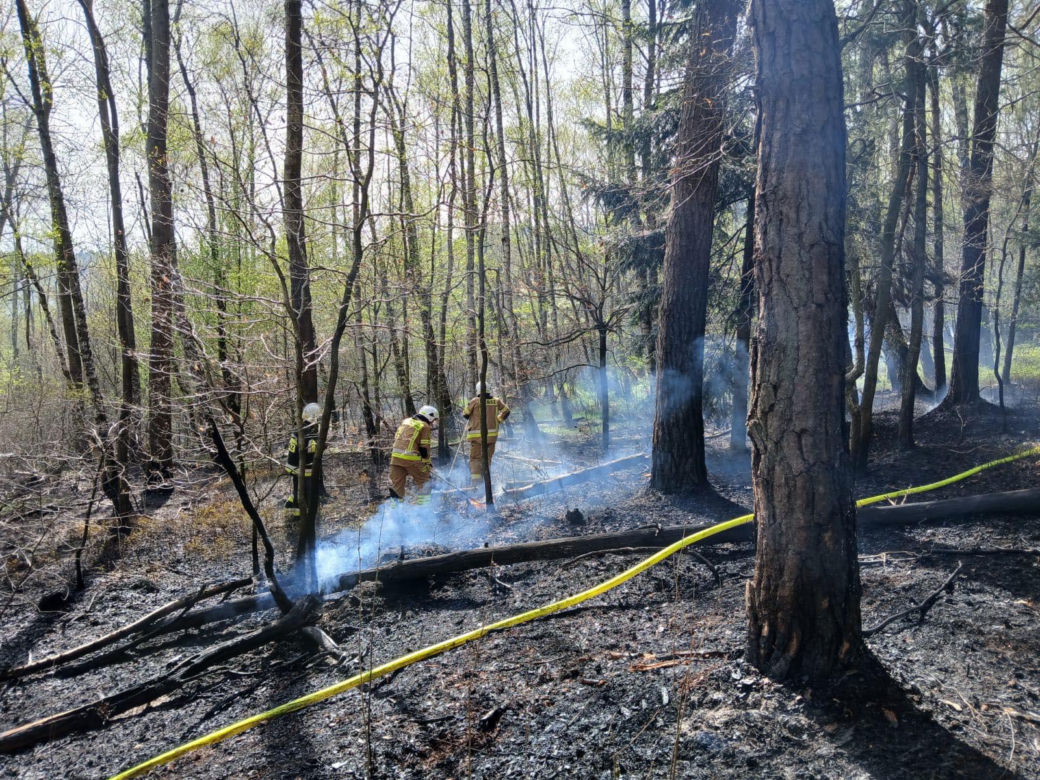 Płoną lasy w powiecie bocheńskim
