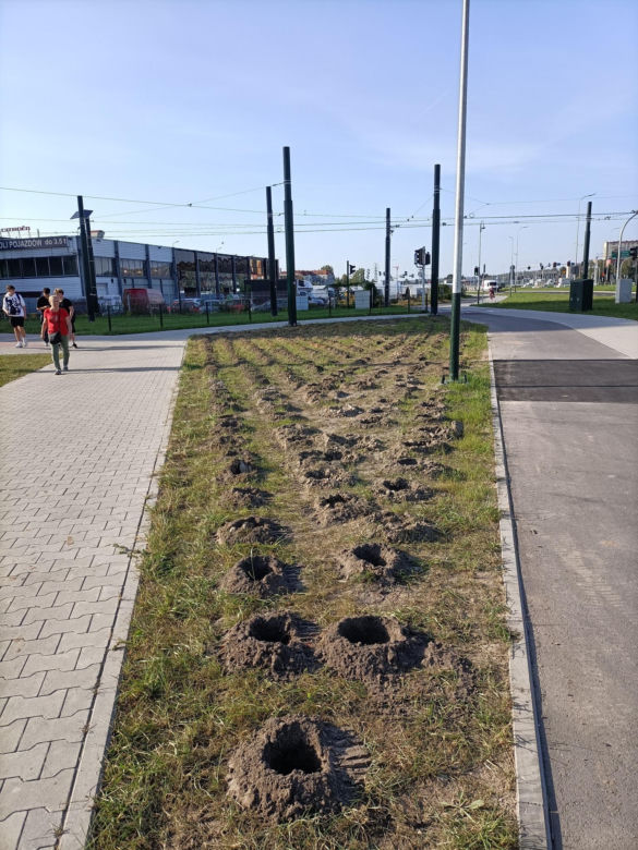 Kraków. Nasadzenia w ramach budowy KST do Górki Narodowej. Mieszkańcy krytykują: „ozdobne krzewy proszę sobie posadzić w ogródku albo na balkonie”
