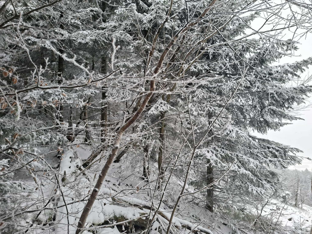 Majestatycznie, zimowo, jak w bajkowej Narnii. Tak Nowy Rok wita Święty Krzyż