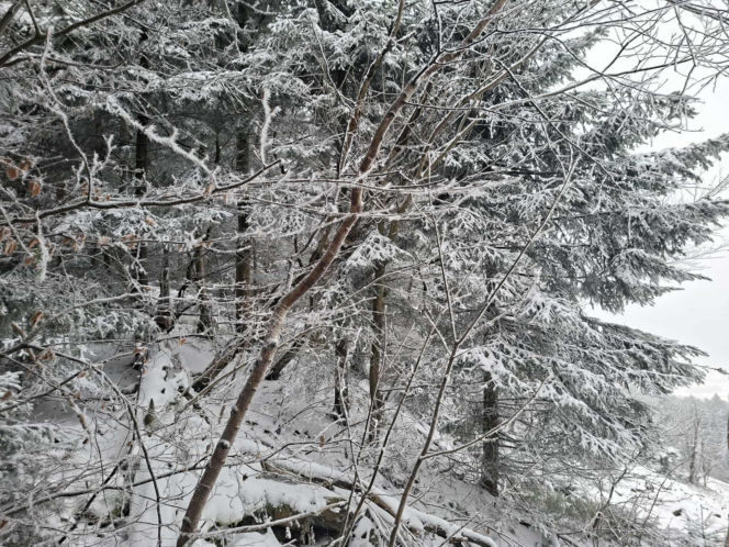Majestatycznie, zimowo, jak w bajkowej Narnii. Tak Nowy Rok wita Święty Krzyż