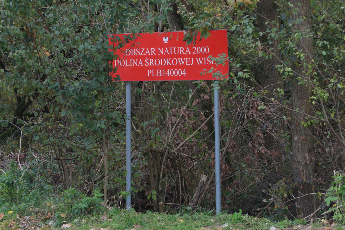 Sprawa wycinki drzew przy ul. Ogórkowej w Wawrze
