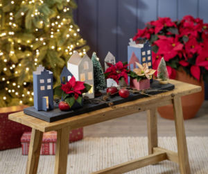 Gwiazda betlejemska – świąteczne domki DIY