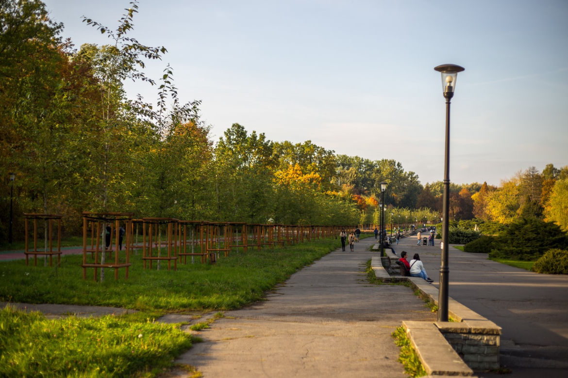 Park Śląski jesienią jest naprawdę piękny